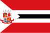 Flag of Alagoinhas, Bahia, Brasil