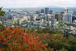 Downtown Montreal seen from Mont Royal