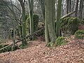 Felsen auf dem Haunberg