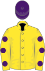 Yellow, purple spots on sleeves, purple cap