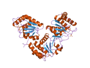 2g6z: Crystal structure of human DUSP5