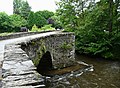 Côté amont, un des « becs » du pont.