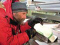 WAIS Divide ice core I (5)