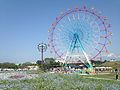 海之中道海濱公園的摩天輪