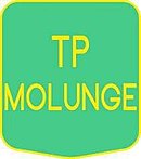 Logo du TP Molunge