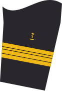 Ärmelabzeichen der Jacke des Dienstanzuges für Marineuniformträger (Humanmediziner).