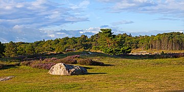 Koster inland terrain