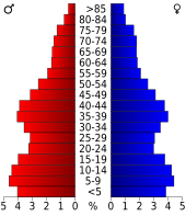 Bevolkingspiramide Riverside County