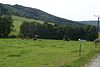 Blick über Viehweiden bei Gerstengrund in Richtung Südosten zum Arnsberg