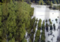Balta Ialomiței, poplava u travnju i svibnju 2006.