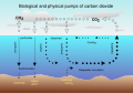 Image 7Air-sea exchange of CO2 (from Carbon dioxide in Earth's atmosphere)