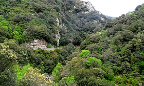 Les gorges de l'Orbieu depuis la route qui emprunte ce passage.