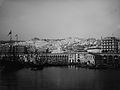 Porto di Alger, 1881, Collezione di Eugene Trutat dal Museo di storia naturale di Tolosa