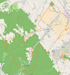 Mapa konturowa Pieszyc, blisko centrum na prawo u góry znajduje się punkt z opisem „Dwór w Pieszycach”