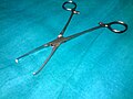 Allis tissue forceps