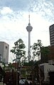 Menara Kuala Lumpur di KL