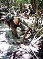 Progression en forêt au 3e régiment étranger d'infanterie à Kourou en Guyane (France).