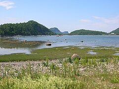 Parc national du Bic