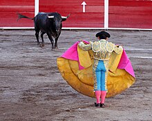 Un taureau noir face au torrero agitant sa cape