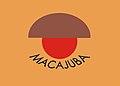 Bandeira de Macajuba
