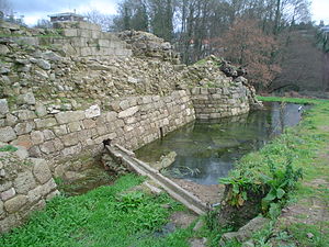 Castelo da Rocha Forte.