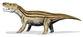 Cynognathus