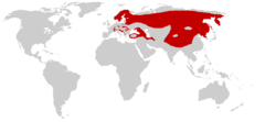 Mapa de distribuição dos felinos eurasiáticos