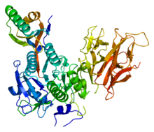 Protein PCSK9 PDB 2p4e.png