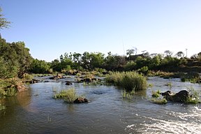 Maricorivier in die Madikwe-wildreservaat