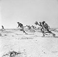 Free French forces at the Battle of Bir Hakeim (1942)