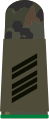 Aufschiebeschlaufe Feldanzug Heeresuniformträger Jägertruppe