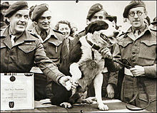 Photo noir et blanc d'un grand chien assis sur une table, entouré d'hommes souriants en uniforme.