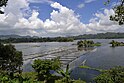 The Placid Lake of Lake Sebu