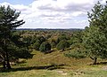 Blick vom Boxberg bei Aukrug-Homfeld