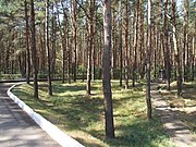 Праворуч могила поляків, жертв німців у 1942 році