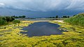 Image 15Jamaica Bay Wildlife Refuge East Pond