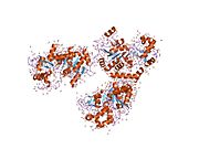 1j8f: HUMAN SIRT2 HISTONE DEACETYLASE