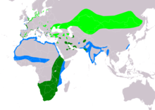 Carte montrant en vert foncé notamment le sud et l'est de l'Afrique et la côte atlantique, en vert clair, l'Asie centrale et les côtes du nord de l'Europe, en bleu l'Afrique du Nord et l'Inde.