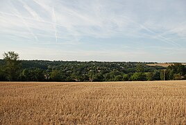 Bocage résidentiel vigouletain (Hauts de Vigoulet et La Guérinière) entre le bois de Lavergne à gauche et Mervilla à droite