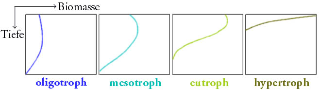 Biomasseverteilung in verschiedenen Seen bei Sommerstagnation