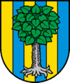 Wappen von Arrissoules