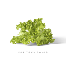 The official cover for "Eat Your Salad"