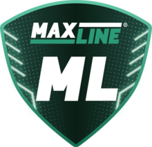 FC Maxline Rogachev.png