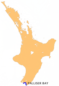 Location of Palliser Bay