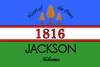 Flag of Jackson