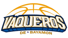 Vaqueros de Bayamón logo