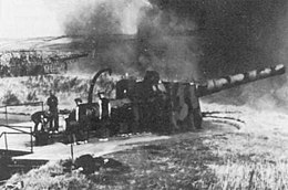 Irish Coastal Defence Artillery exercise at Fort Templebreedy in the 1940s