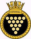 Ship's badge