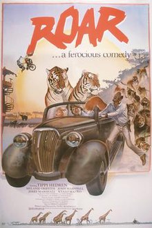 A husband and wife are in an older truck, also containing two tigers. A man is hanging on the side, as they drive away from a pride of lions.