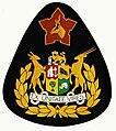 Insignia in the SADF (Pre 1994)